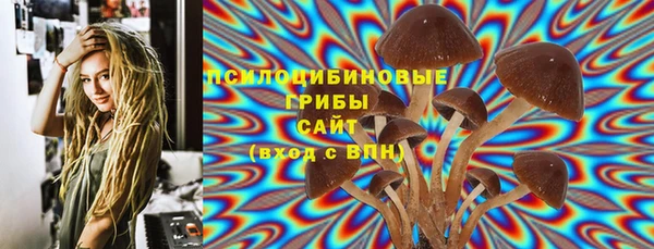 мдпв Карпинск