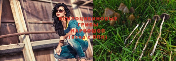 каннабис Алексеевка