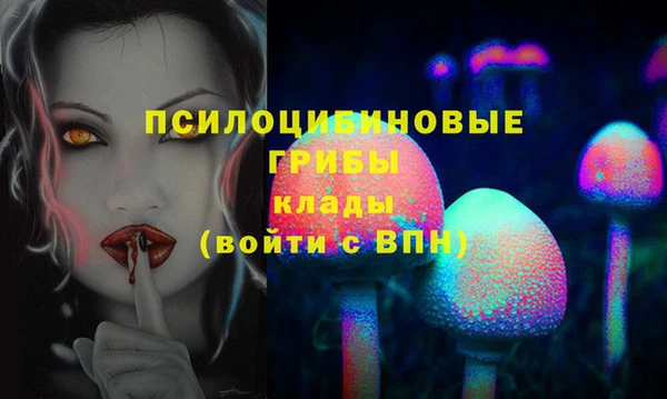 сатива Касимов