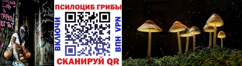 Псилоцибиновые грибы Cubensis  закладки  Анадырь 